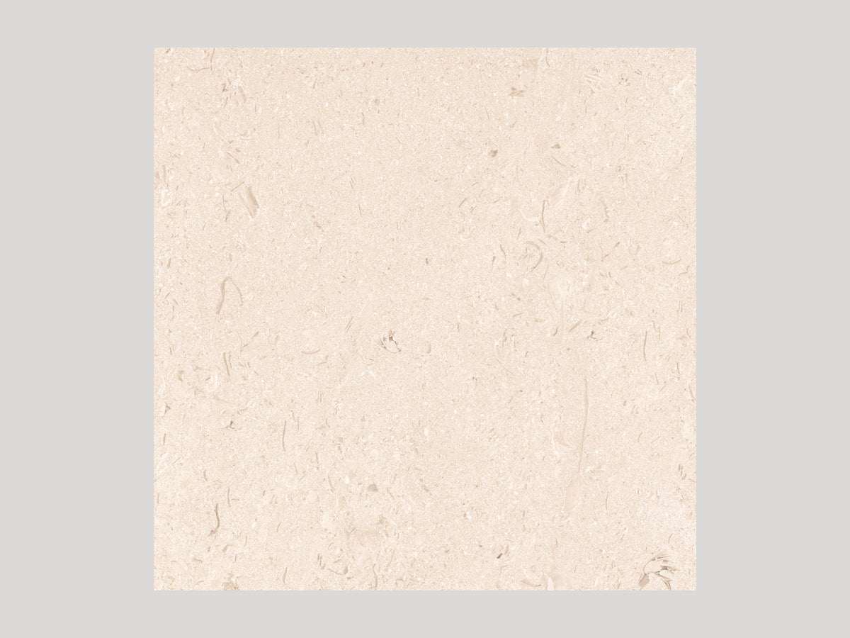 Shasta Stone-Look Porcelain Paver 24x24 3/4"