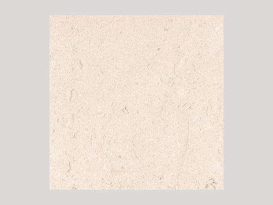 Shasta Stone-Look Porcelain Paver 24x24 3/4"