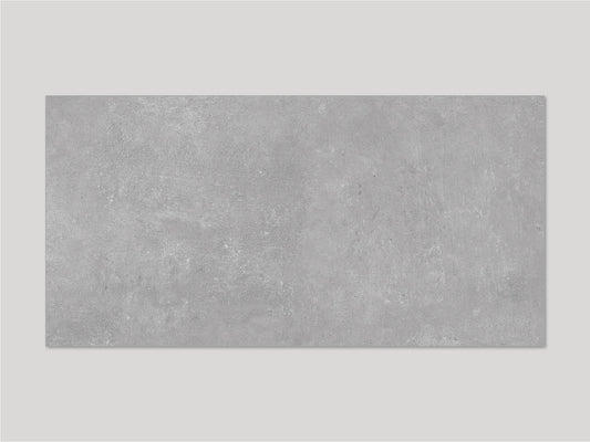 Presidio Silver Concrete-Look Porcelain Paver 24x48 3/4"