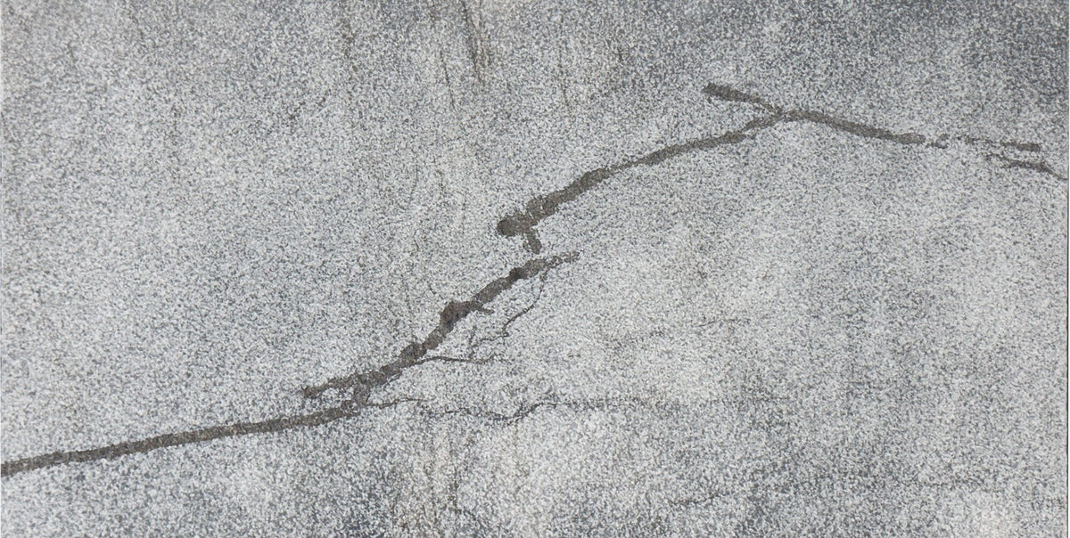 Badlands Gray Marble Bullnosed 12x24 1-1/4" Pool Coping