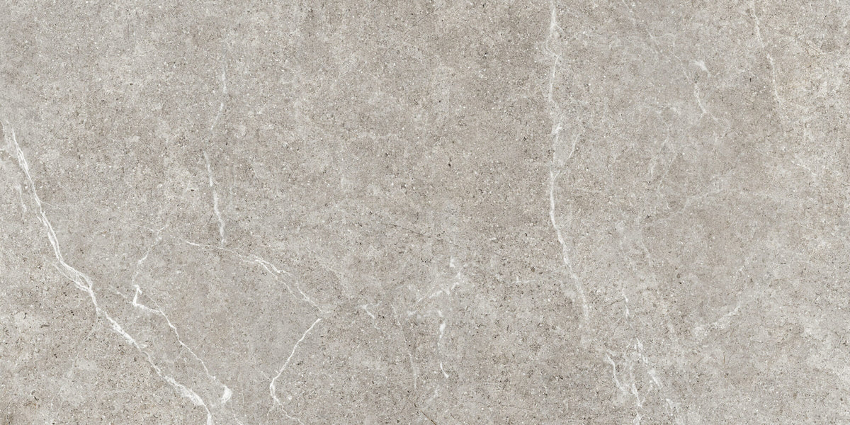 Bedford Gray Stone-Look Porcelain Paver 24x48 3/4"