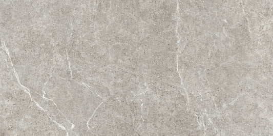Bedford Gray Stone-Look Porcelain Paver 24x48 3/4"