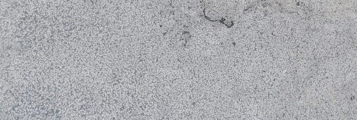 Bodega Gray Marble Bullnosed 4x12 2" Pool Coping
