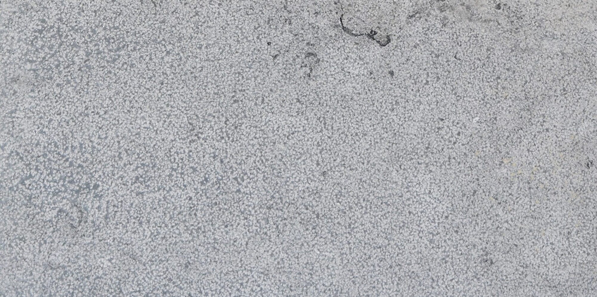 Bodega Gray Marble Eased Edge 12x24 2" Pool Coping