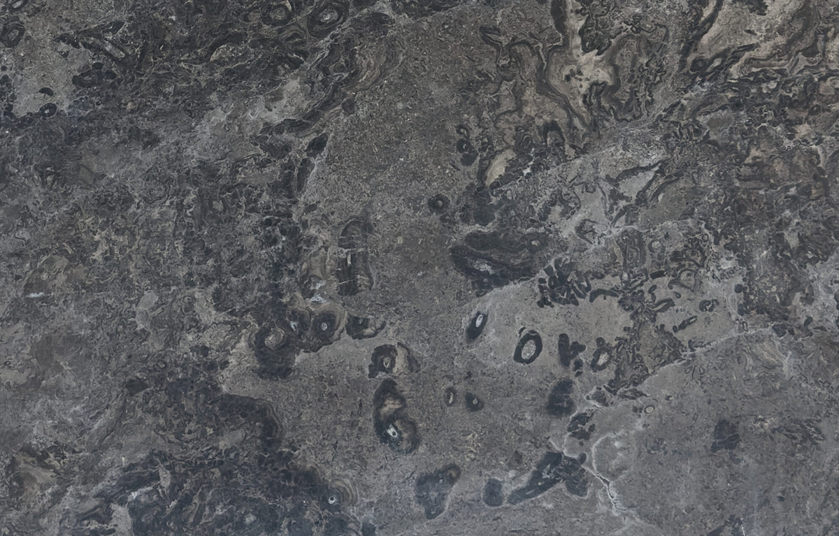 Camden Charcoal Travertine Tumbled 16x24 2" Paver