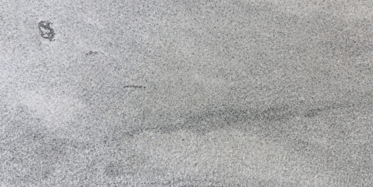 Catalina Blue Marble Bullnosed 4x8 1-1/4" Pool Coping