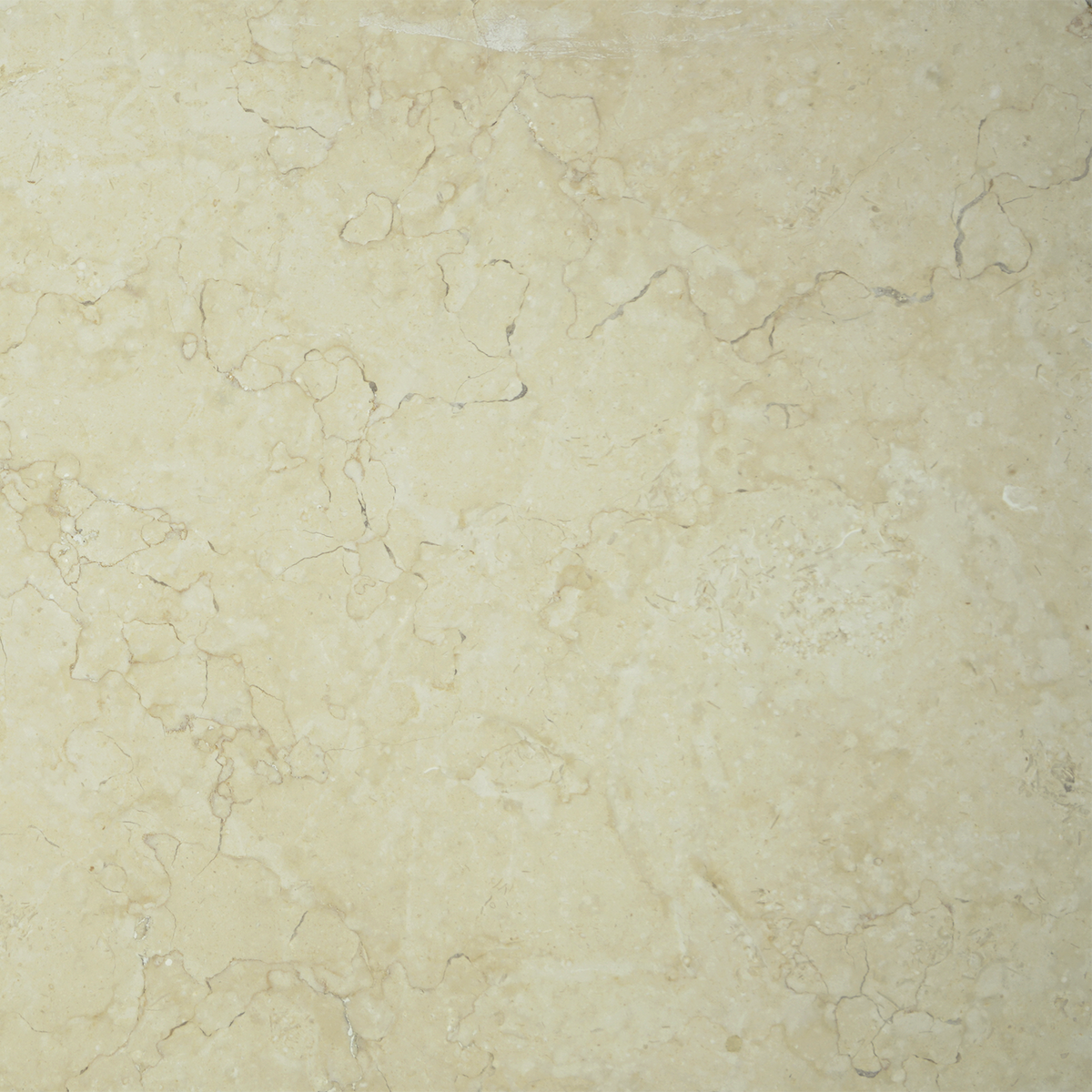 Extra Cream Marble Tumbled 24x24 1-1/4" Paver