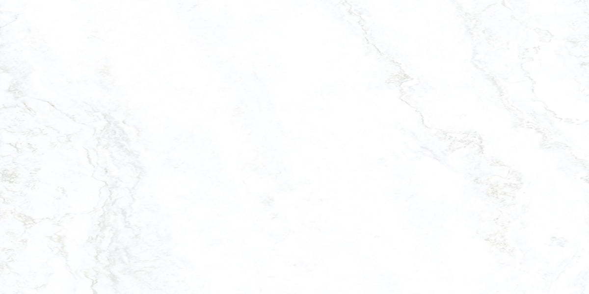 Gramercy Gray Marble-Look Porcelain Paver 24x48 3/4"