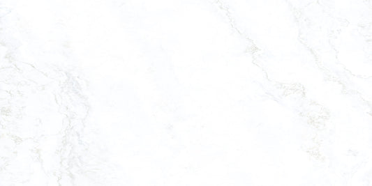 Gramercy Gray Marble-Look Porcelain Paver 24x48 3/4"