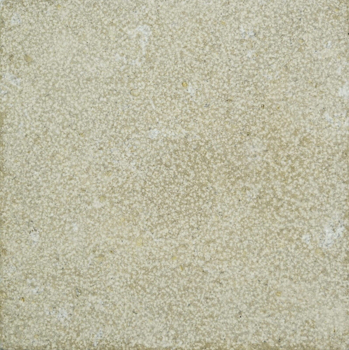 Mesa Beige Marble Leather 12x12 1-1/4" Paver