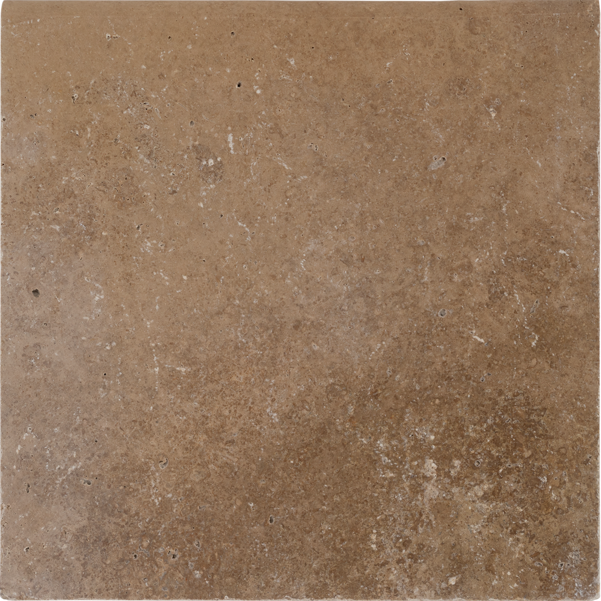 Noce Travertine 24x24 2" Paver