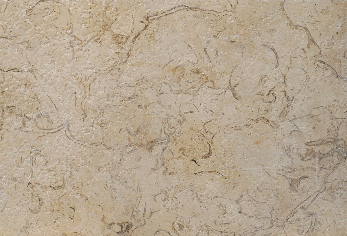 Petoskey Beige Marble Bullnosed 12x24 2" Pool Coping