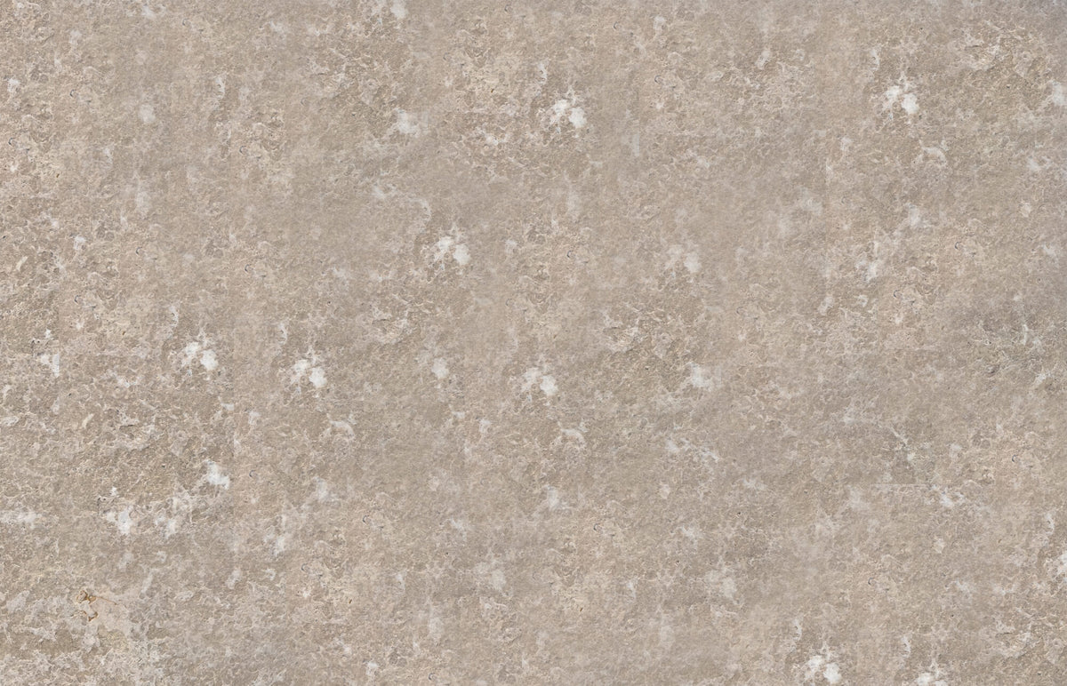 Sequoia Bronze Marble Brushed 24x36 1-1/4" Paver