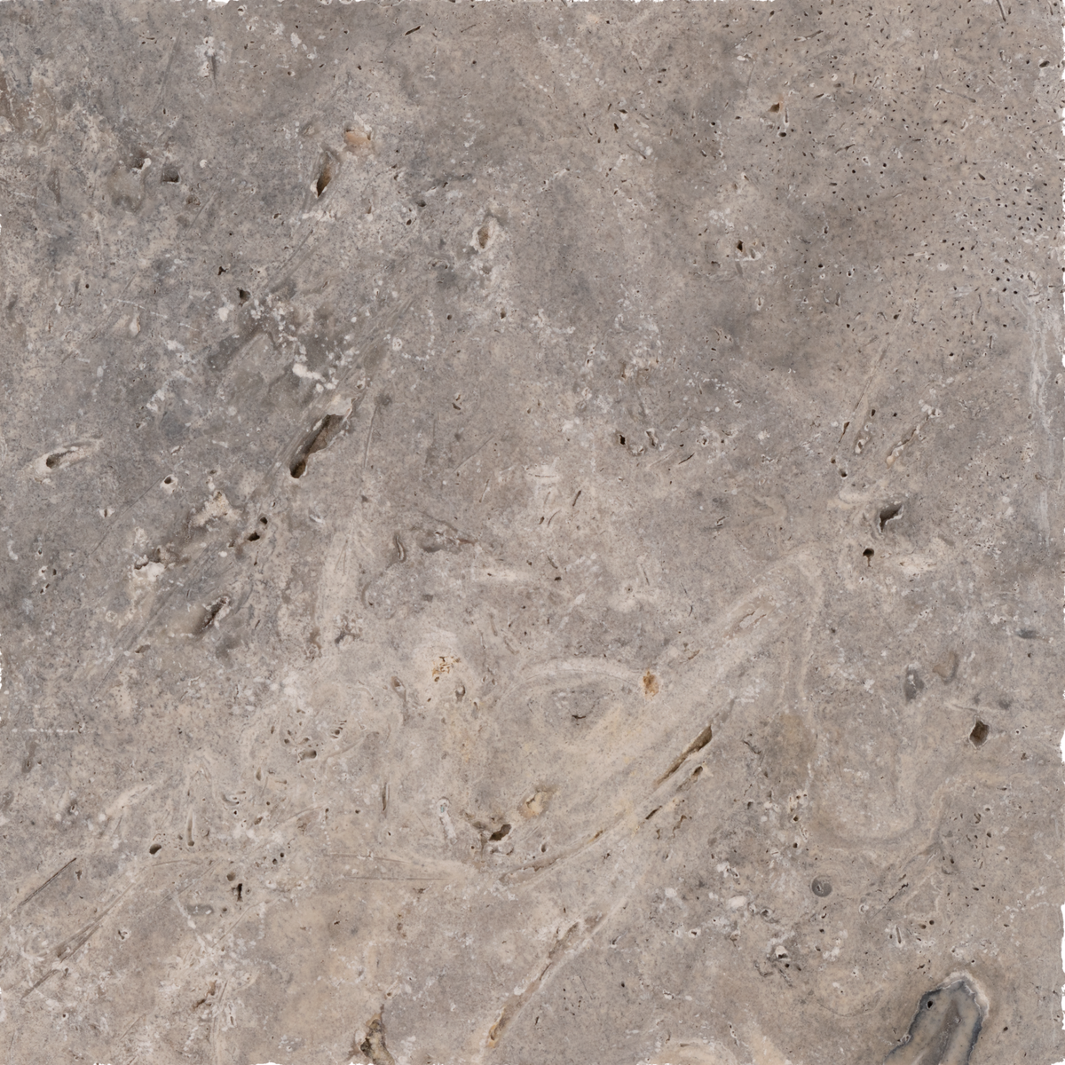 Silver Kashmir Travertine Tumbled 12x12 1-1/4" Paver