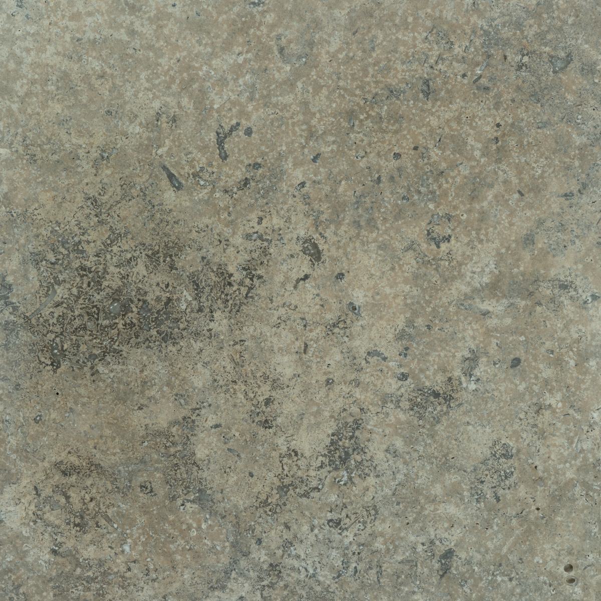 Silver Kashmir Travertine Tumbled 16x16 1-1/4" Paver