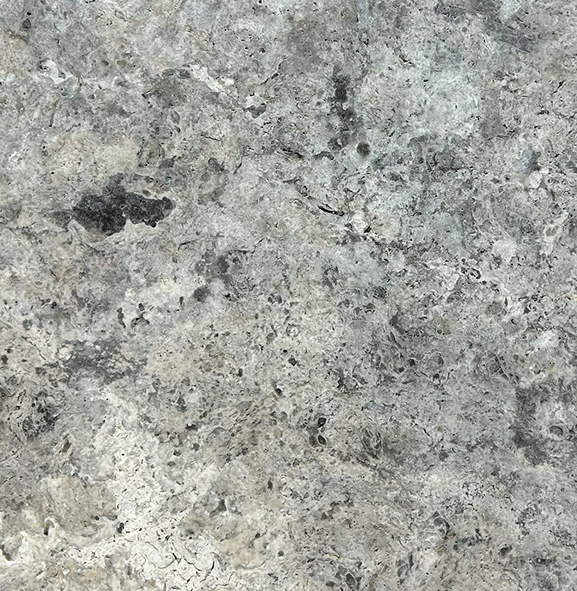 Silver Premium Travertine 24x24 2" Paver