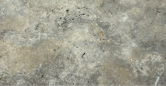 Silver Premium Travertine Bullnosed 12x24 2" Pool Coping