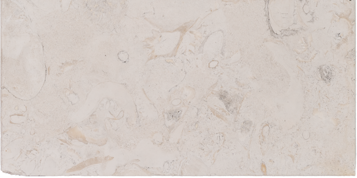 Symra Limestone Bullnosed 12x24 2" Pool Coping