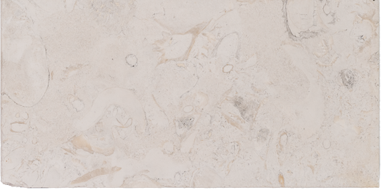Symra Limestone Bullnosed 12x24 2" Pool Coping