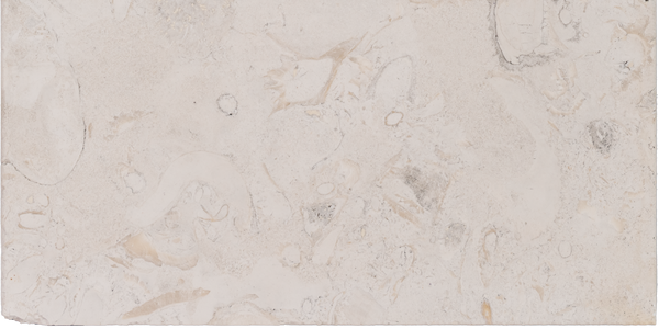 Symra Limestone Bullnosed 12x24 2" Pool Coping