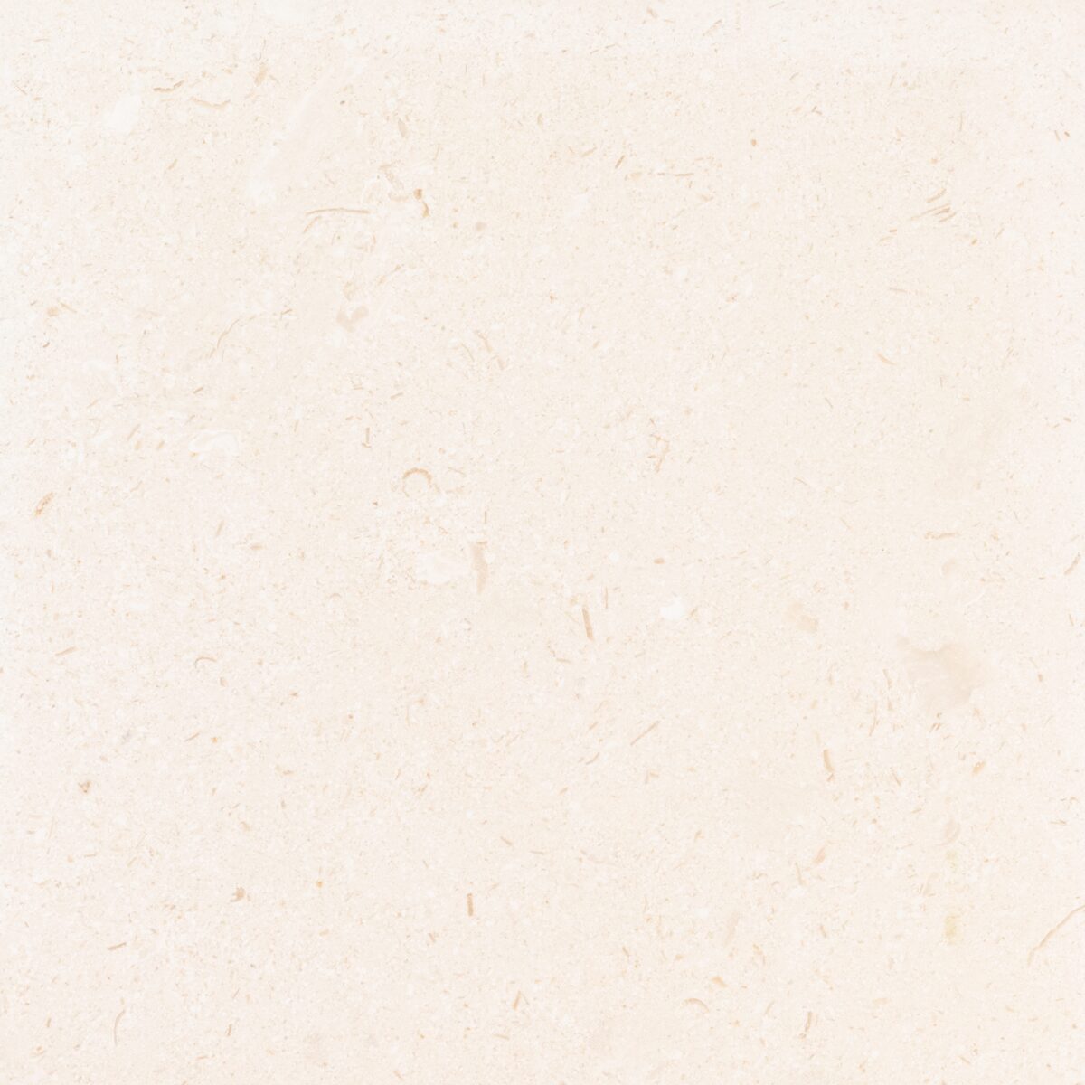 Symra Limestone Tumbled 24x24 2" Paver