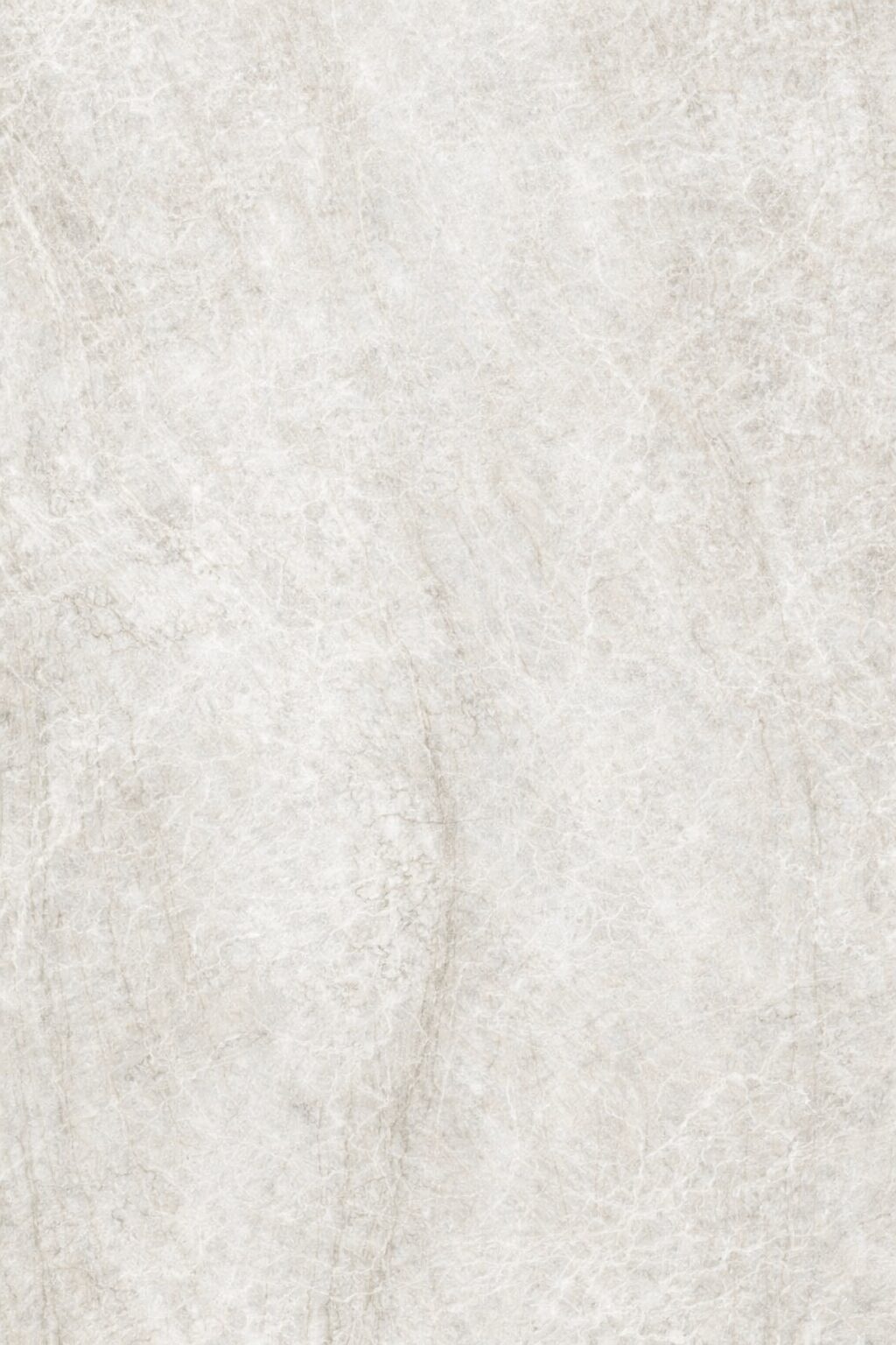 Taj Mahal Cream Quartzite-Look Porcelain Paver 24x48 3/4"