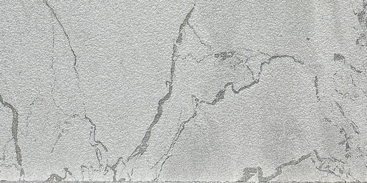 Vineyard Gray Marble Bullnosed 4x8 1-1/4" Pool Coping