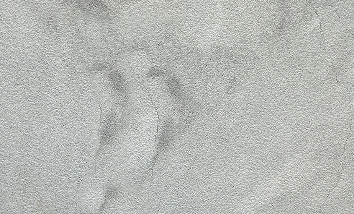 Vineyard Gray Marble Sandblasted 24x36 2" Paver