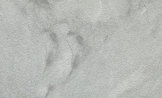 Vineyard Gray Marble Sandblasted 24x36 2" Paver