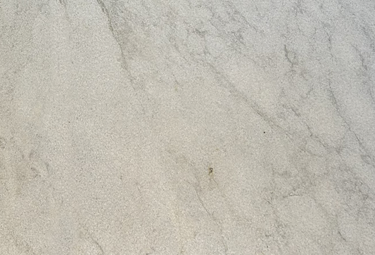 Willamette Gray Marble Bullnosed 4x8 1-1/4" Pool Coping