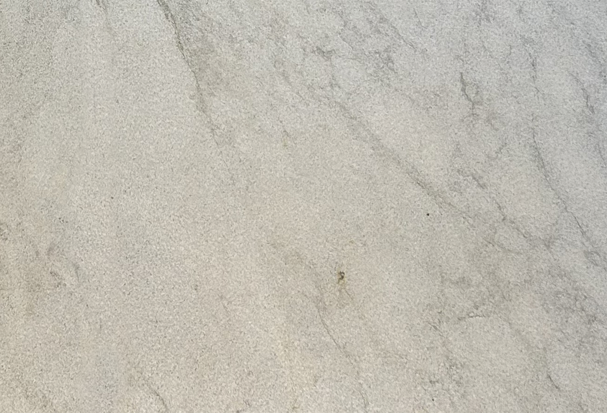 Willamette Gray Marble Bullnosed 6x12 1-1/4" Pool Coping